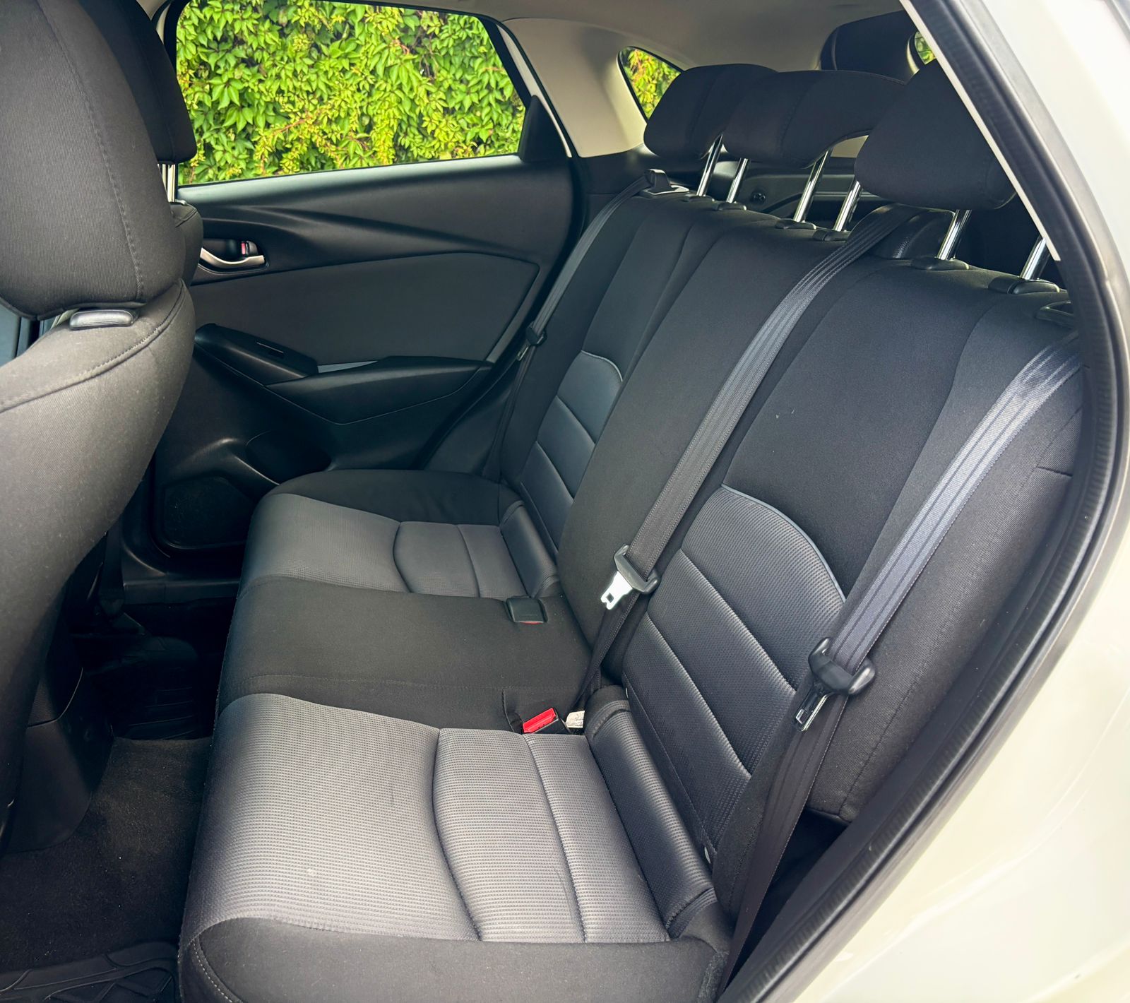 imagen_auto